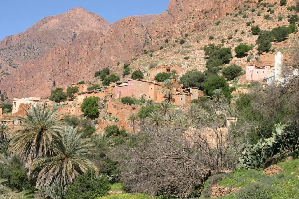 Riad Nadara, Superbe Riad Au Coeur De La Medina! Marrakesh Exteriör bild
