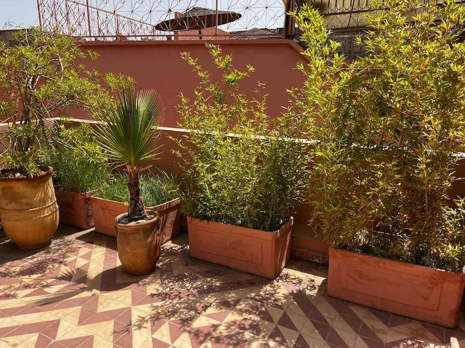 Riad Nadara, Superbe Riad Au Coeur De La Medina! Marrakesh Exteriör bild